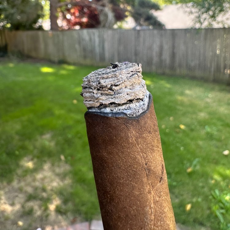 Cedrus Cigar Ash Stack