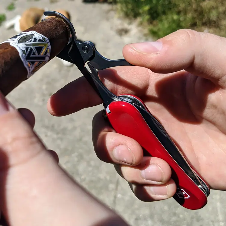 Cutting-Avo-Classic-Maduro-Cigar-With-Victorinox-Cutter