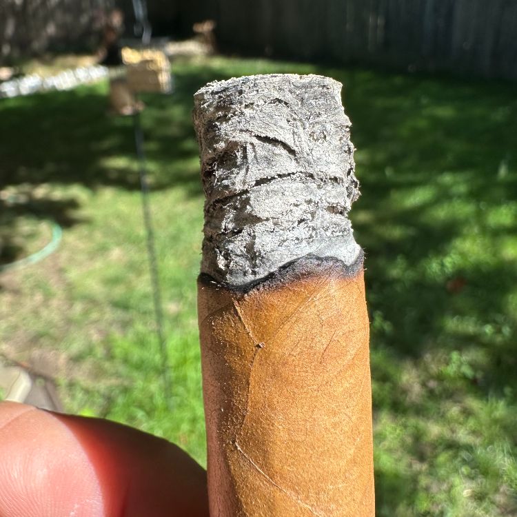 Florida Man Connecticut Burn & Construction Review