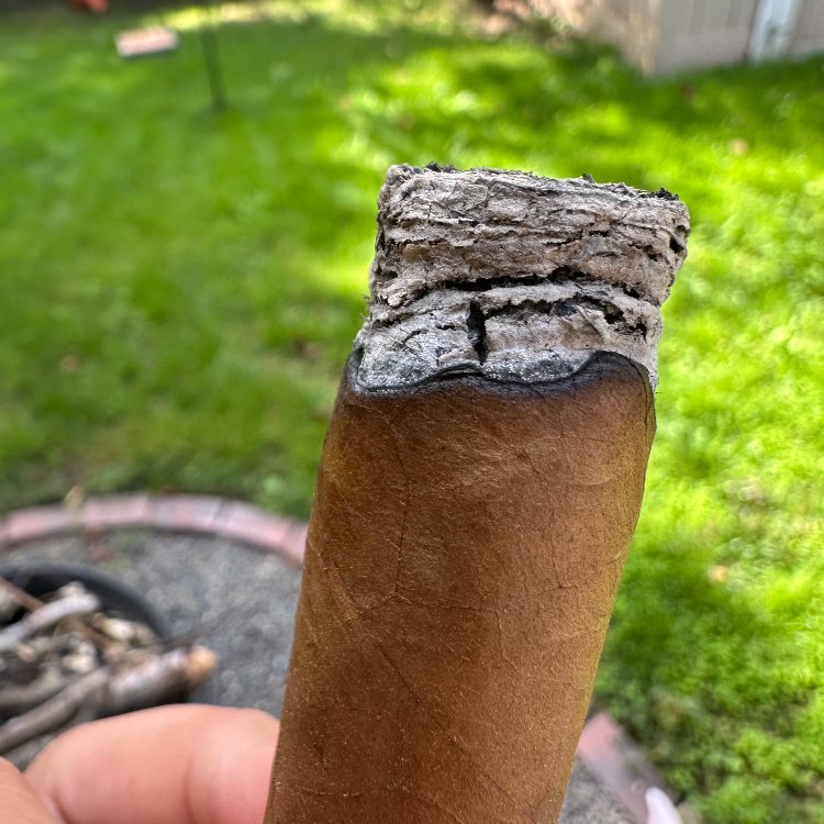 Ash Backbone Details Of Balthazar Liga 7
