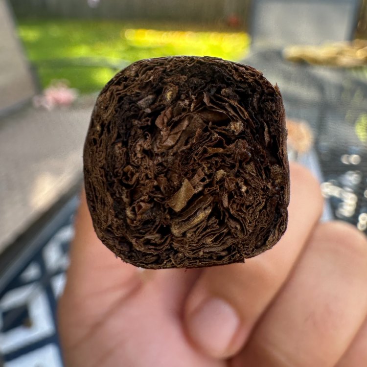 Aged Tobacco Filler of Manzanita