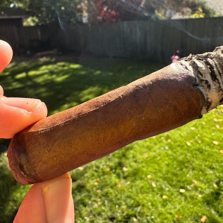 Habano Wrapper Detail Manzanita Cigar