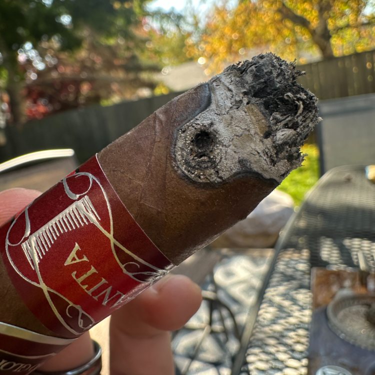 SD Manzanita Burn Issues