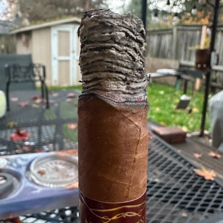 Ash Stack On Firethorn While Smoking