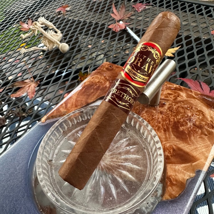 SD Firethorn Look & Feel Review