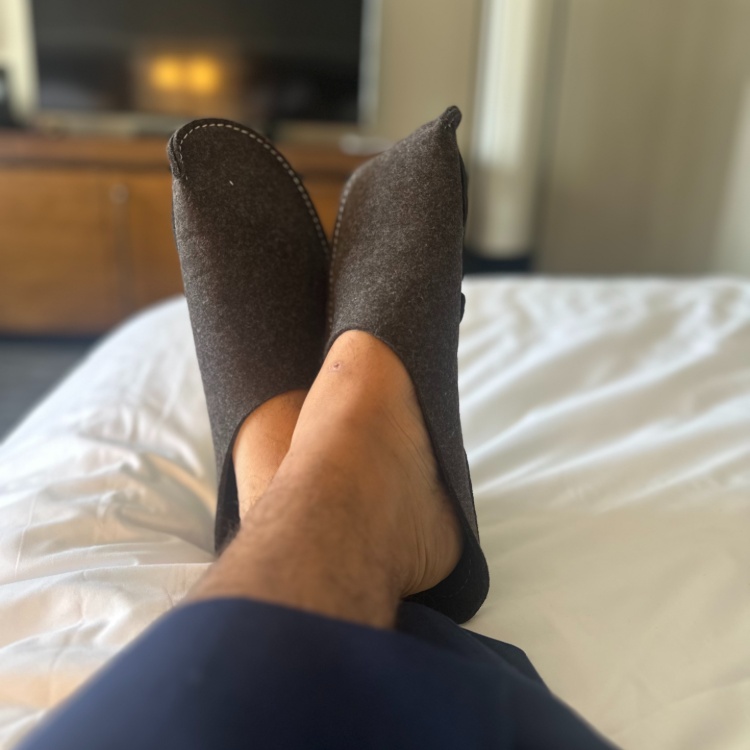 CP Slippers Gray Felt Variety