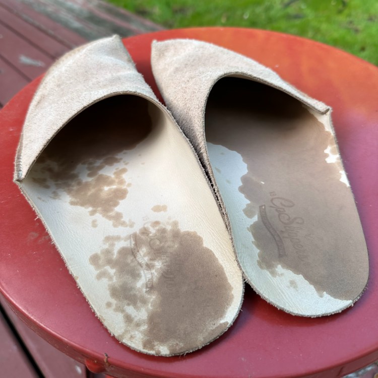 CP Slippers worn in Yard