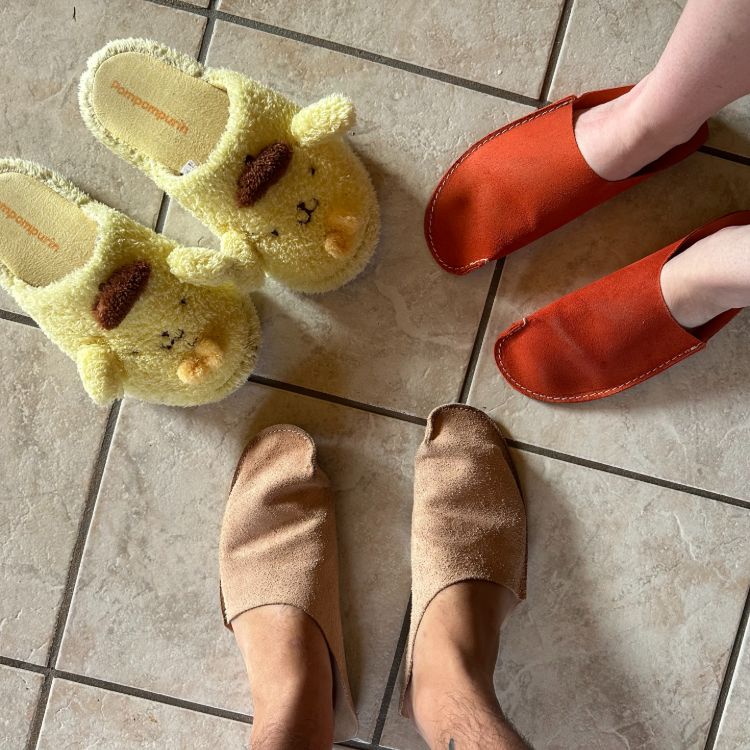 Top Down Shot Wearing CP Slippers