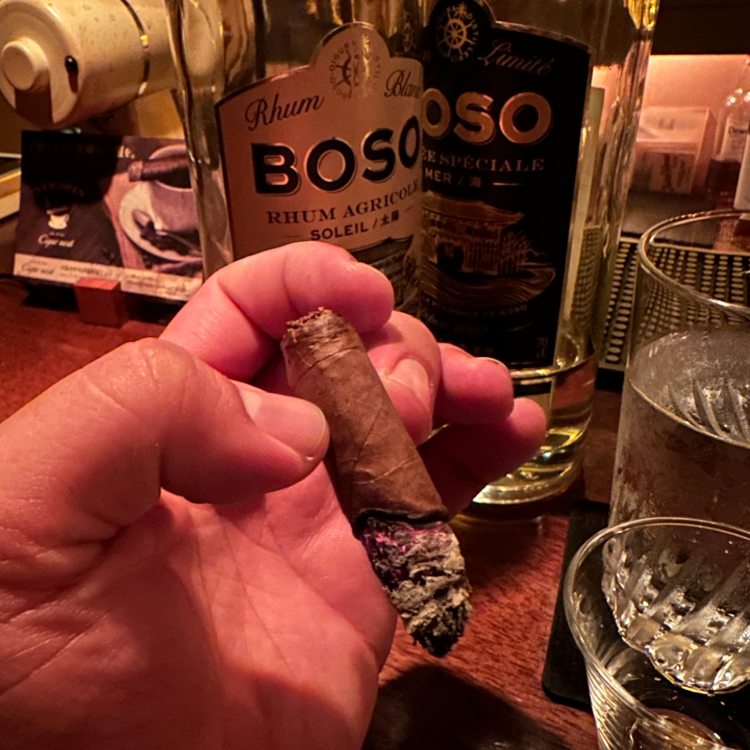 Final Third Review Of GOTA Cigar